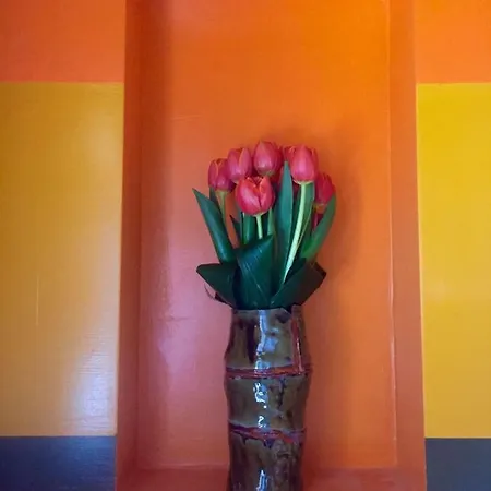 La Mugletta 4* Feriole