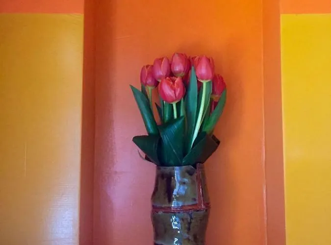 La Mugletta 4* Feriole